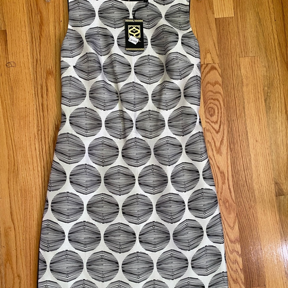 This new silk sleeveless black and white dress is perfect for a summer day out.